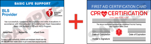 Sample American Heart Association AHA BLS CPR Card Certificaiton and First Aid Certification Card from CPR Certification Mesa