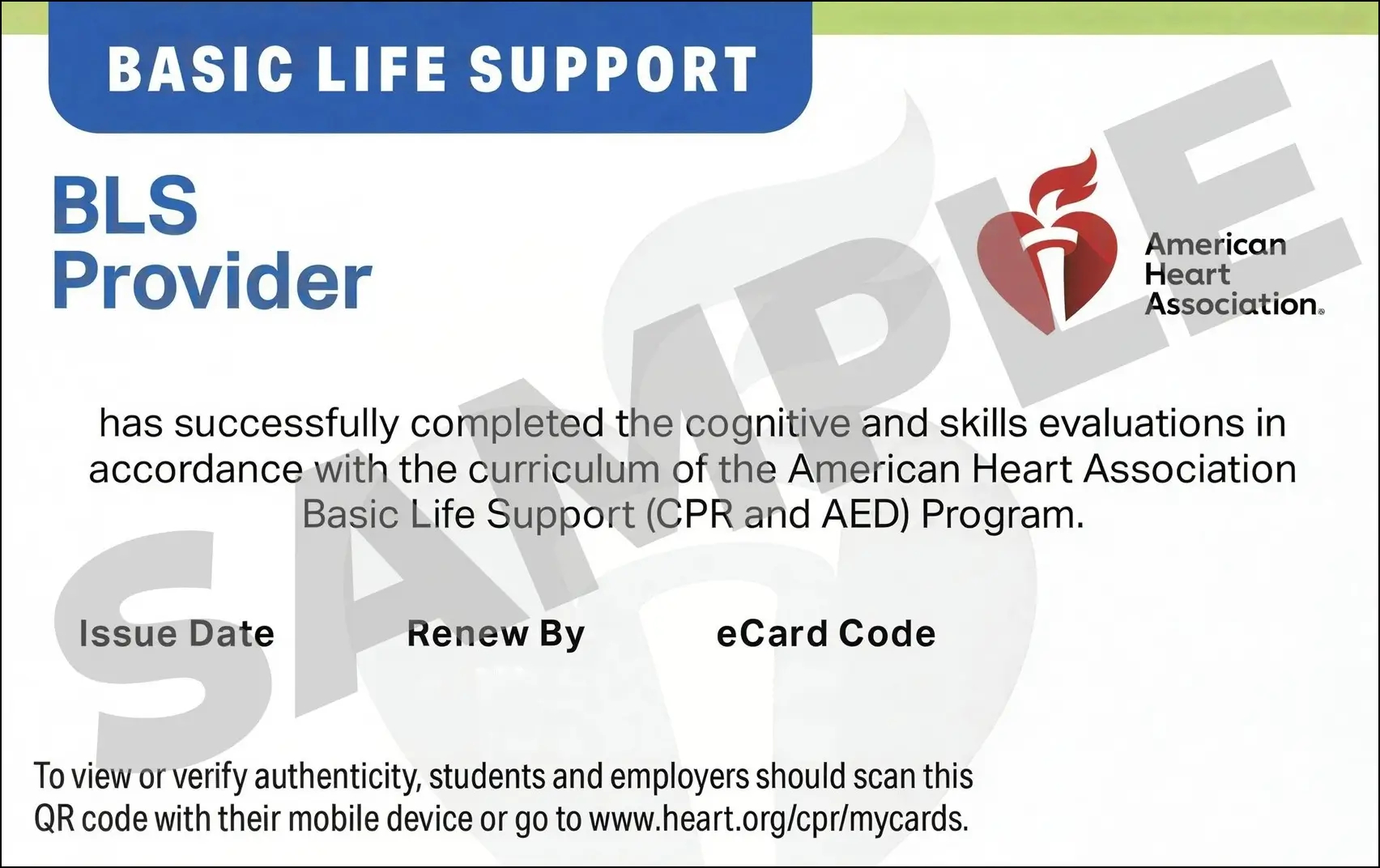 Sample American Heart Association AHA BLS CPR Card Certification from CPR Certification Mesa